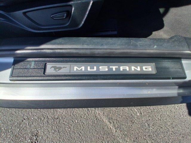 2023 Ford Mustang EcoBoost