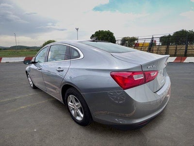 2024 Chevrolet Malibu FL