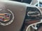 2014 Cadillac SRX Performance Collection