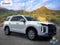 2024 Hyundai Palisade SEL 7P