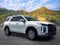 2024 Hyundai Palisade SEL 7P