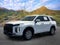 2024 Hyundai Palisade SEL 7P