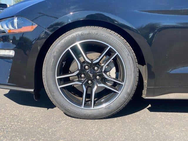 2023 Ford Mustang EcoBoost