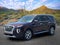 2021 Hyundai Palisade SEL w/ Premium Package