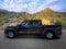 2025 Toyota Tundra 4WD 1794 Edition Hybrid