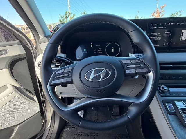 2025 Hyundai Palisade SEL Premium 8P